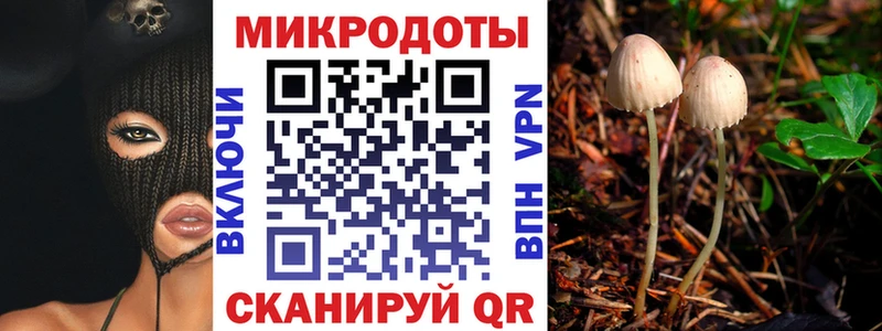 Галлюциногенные грибы MAGIC MUSHROOMS Западная Двина